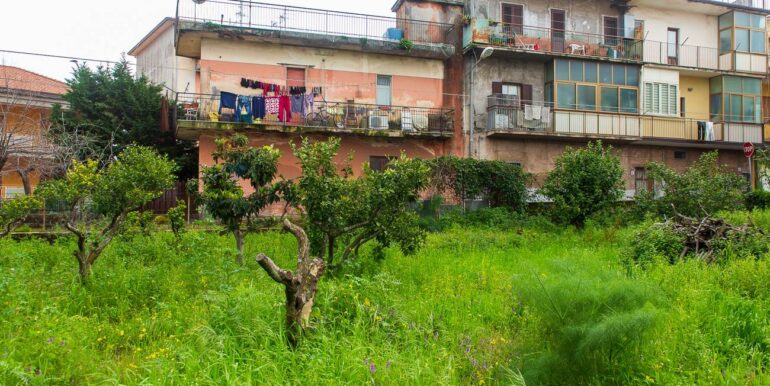 20250318222616-937508-12