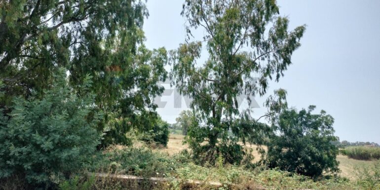 2025031873933-936887-22