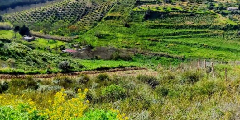 20250321191953-937998-1