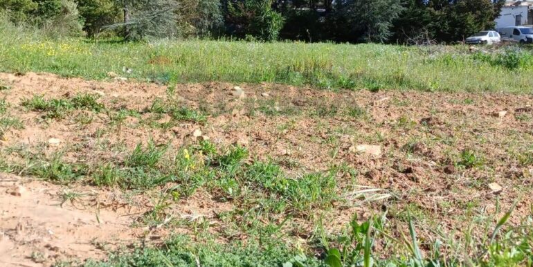 20250321191955-937998-2