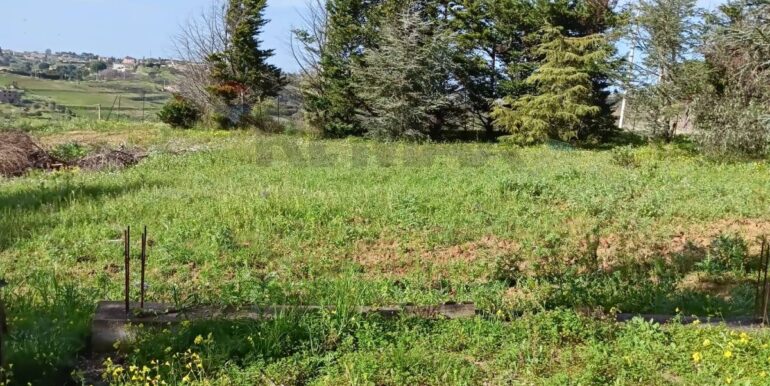 20250321192000-937998-4