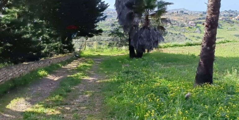 20250321192002-937998-5