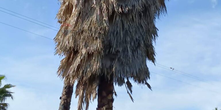 20250321192003-937998-6