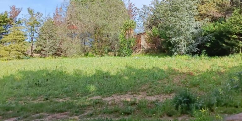 20250321192005-937998-7