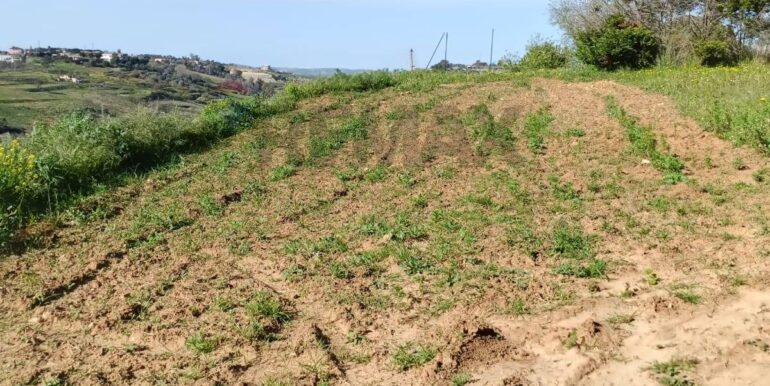 20250321192006-937998-8