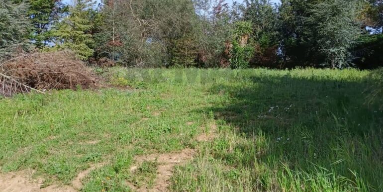 20250321192008-937998-9