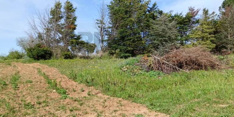 20250321192010-937998-10