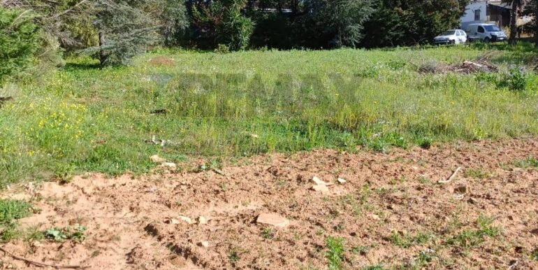 20250321192018-937998-15