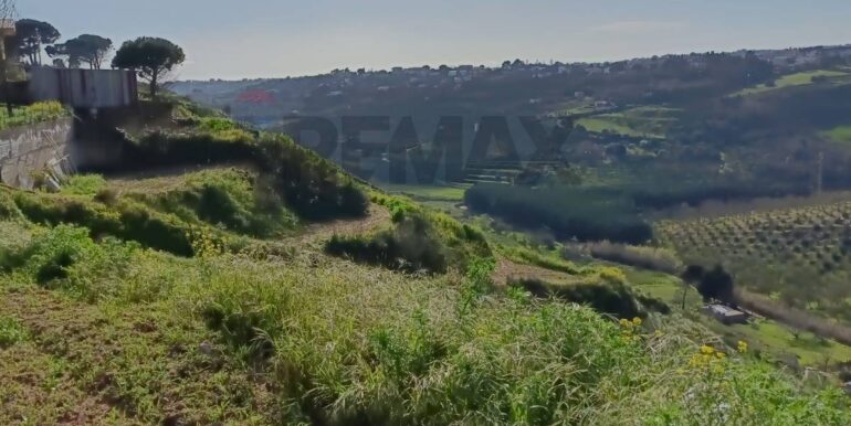 20250321192019-937998-16