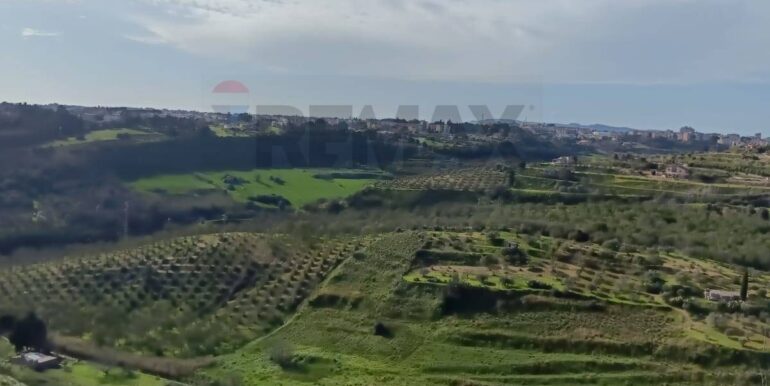 20250321192021-937998-17