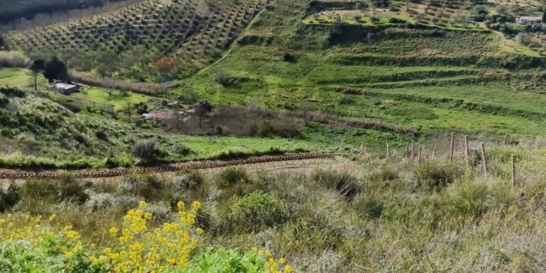 20250321192137-937998-19