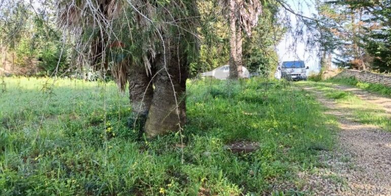 20250321192502-937998-28