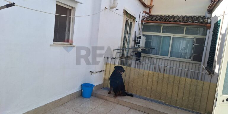 2025032192032-938006-15