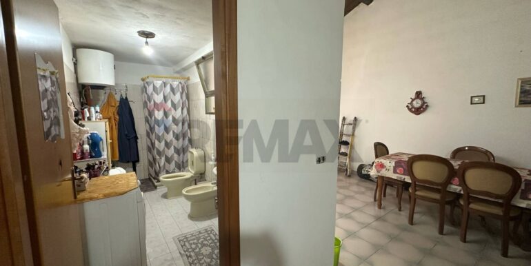 20250324114452-938507-6