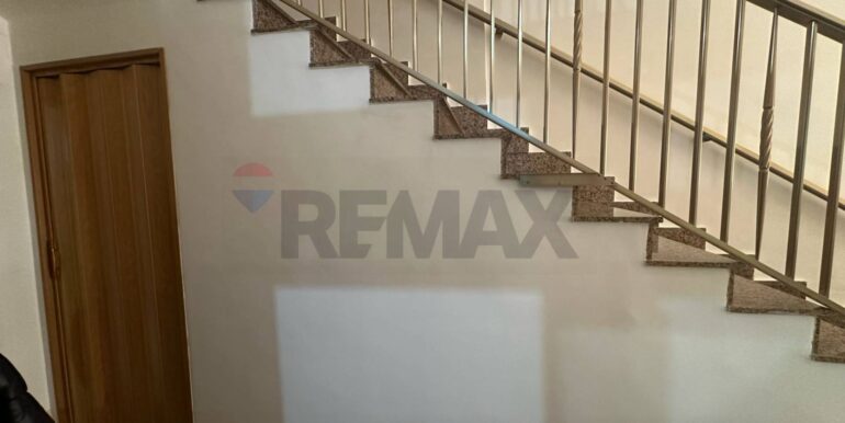 20250324114454-938507-8