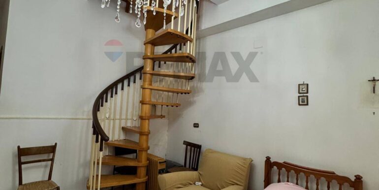 20250325113226-938731-7