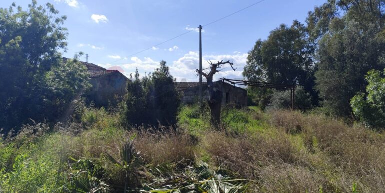 20250402224613-936887-27