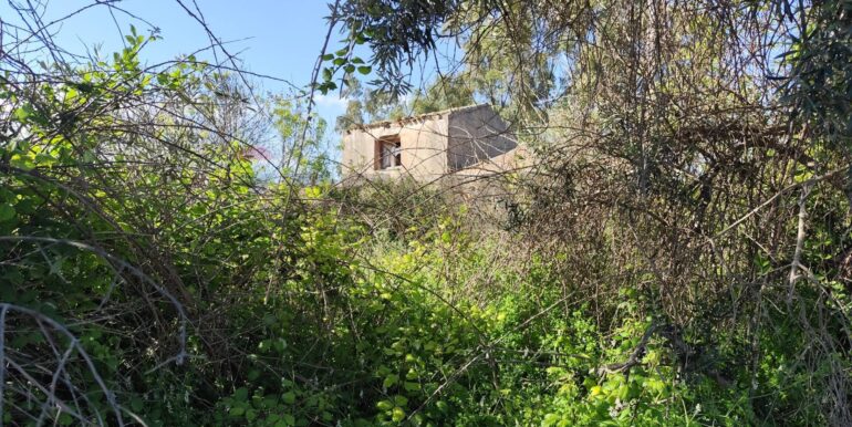 20250402224616-936887-28