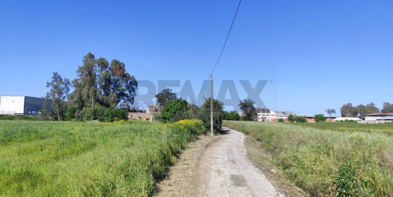 20250402225050-922464-8