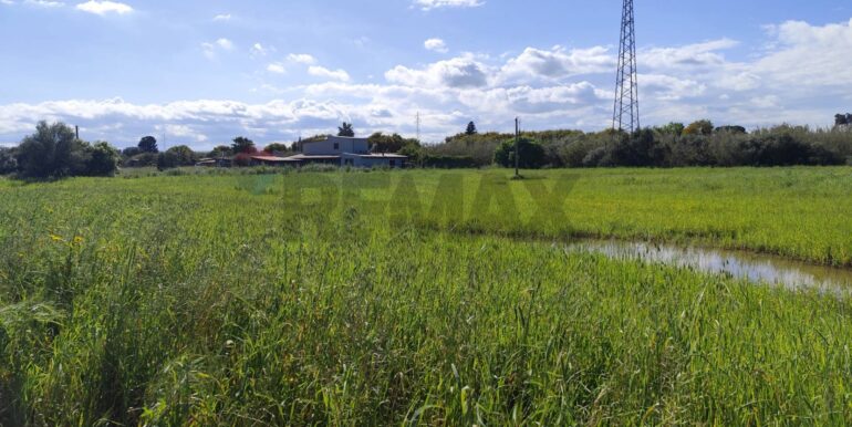 20250402225056-922464-10