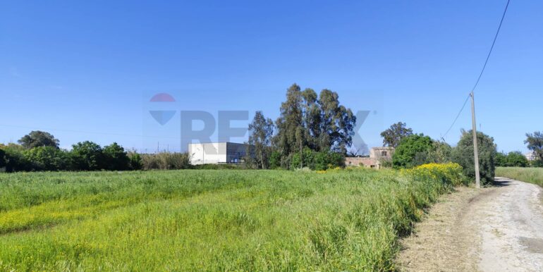 20250402225102-922464-12