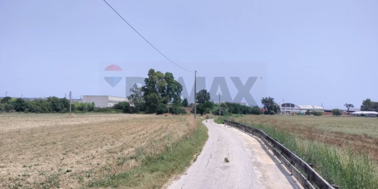 20250402225222-922464-13