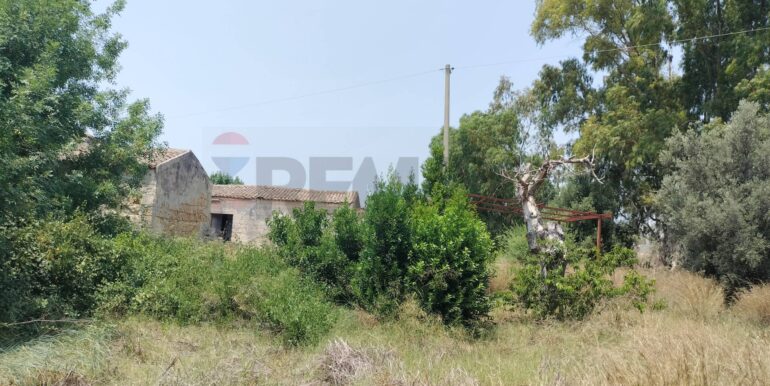 20250402225232-922464-16