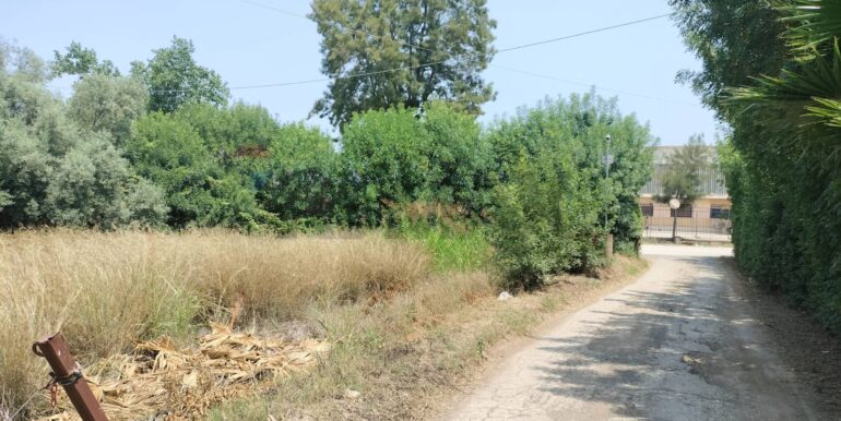 20250402225236-922464-17