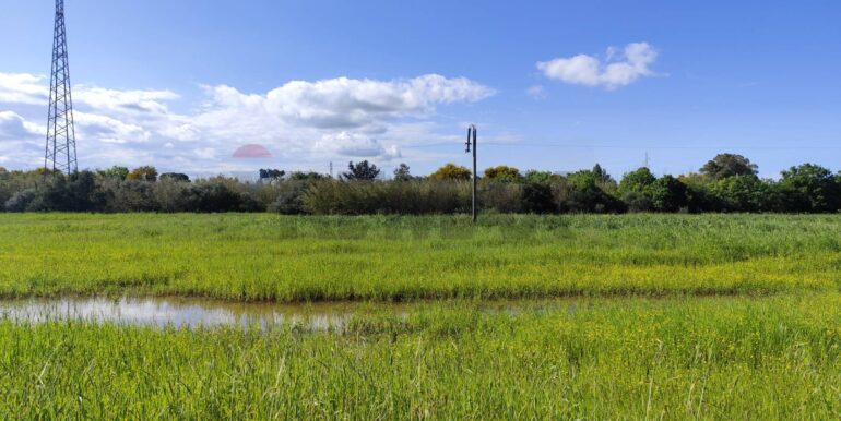 20250402225530-811572-29