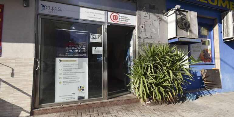 20250403121217-941533-21