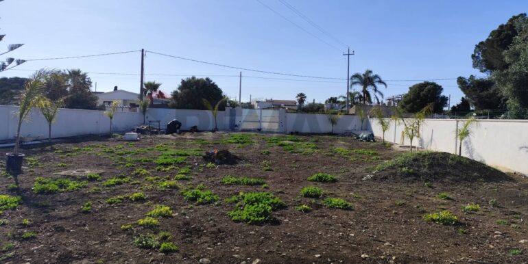 20250403223449-927930-14