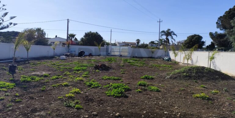 20250403223452-927930-15