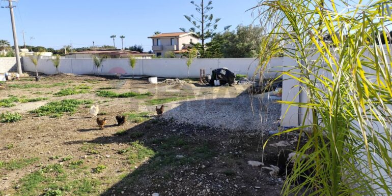 20250403223502-927930-18