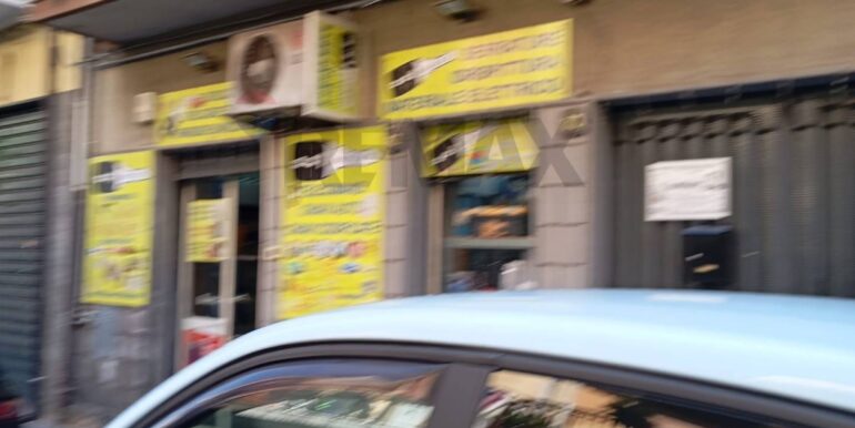 2025040512511-940394-6