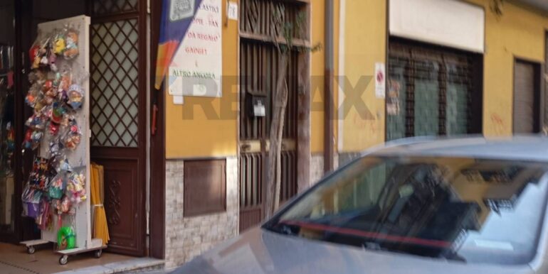 2025040512519-940394-11