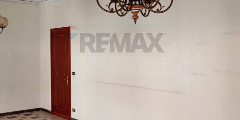 2025040512647-940391-7