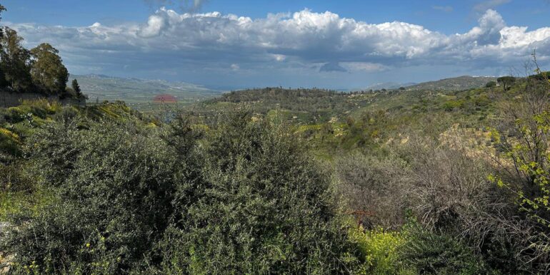 20250407155933-936646-10