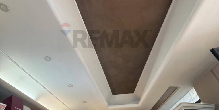 20250411111614-943365-11