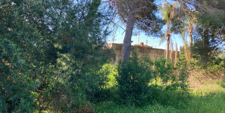 20250416131118-944264-3