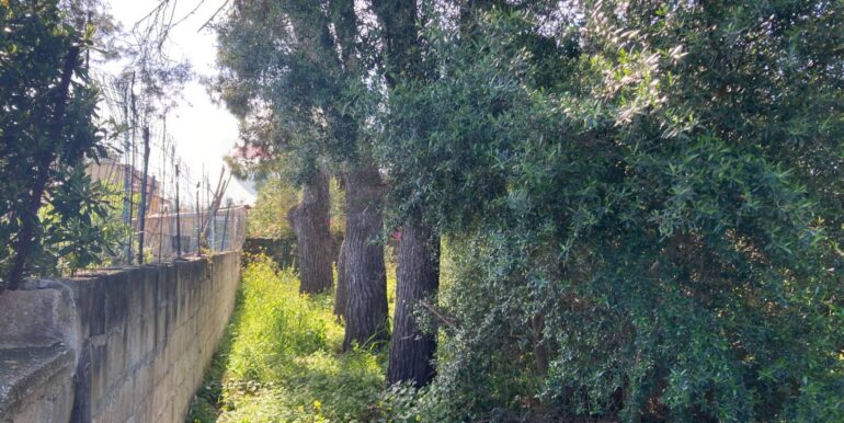 20250416131140-944264-4