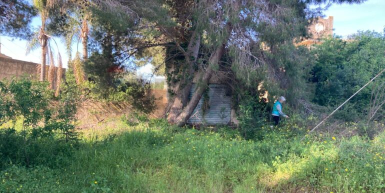 20250416131143-944264-5