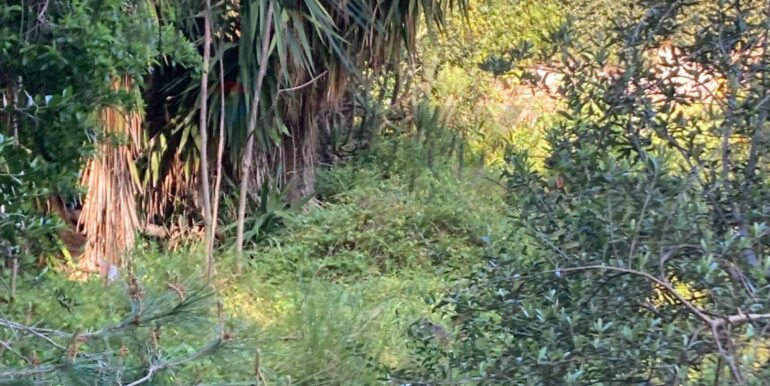 20250416131151-944264-8