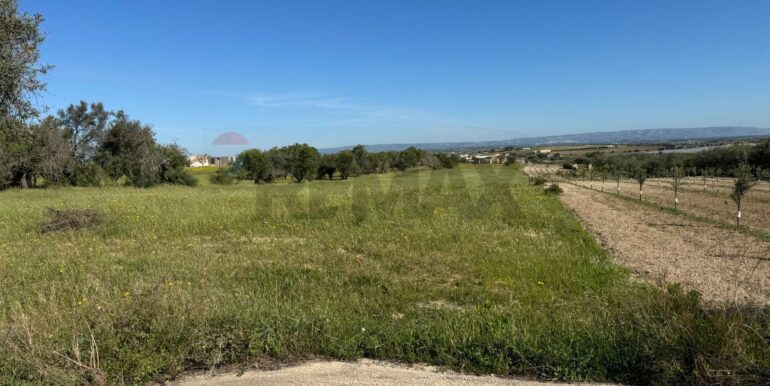 20250422110522-944901-1