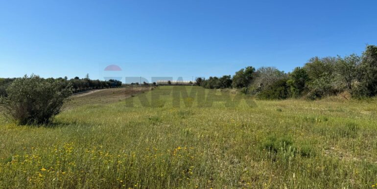 20250422110522-944901-2