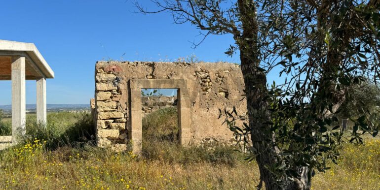 20250422110523-944901-4