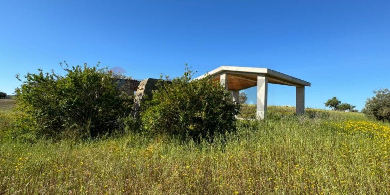 20250422110524-944901-7