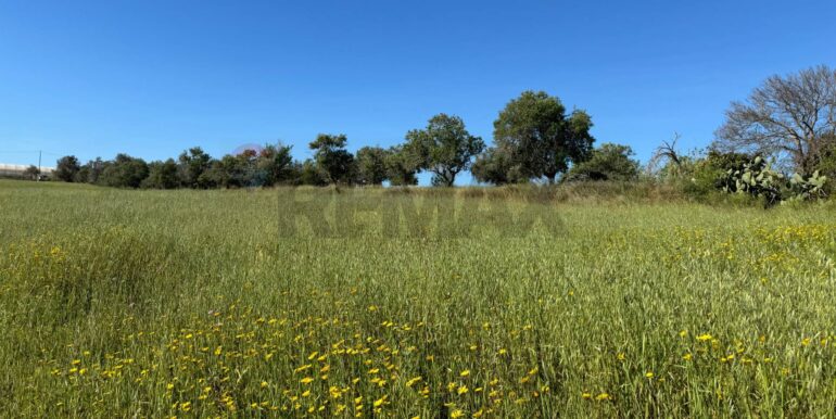 20250422110528-944901-19