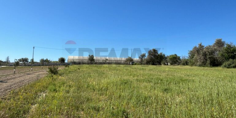 20250422110528-944901-21