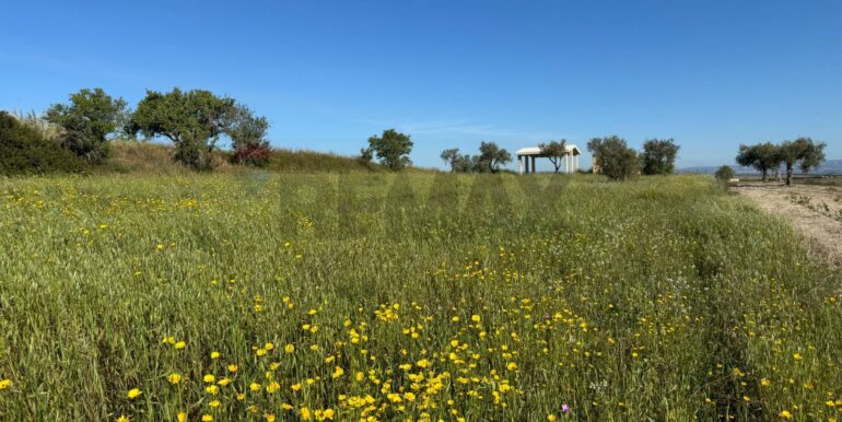 20250422110529-944901-23