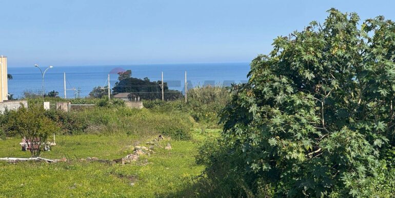 20250424105302-945106-4